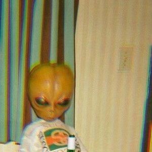 Meet your Posher, Audrey